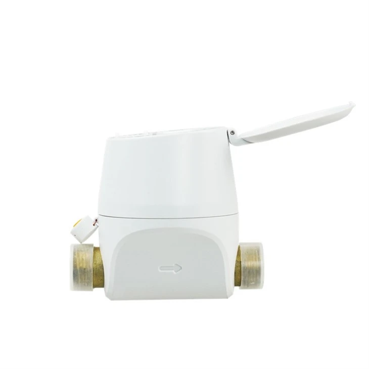 Radio Read Water Meter